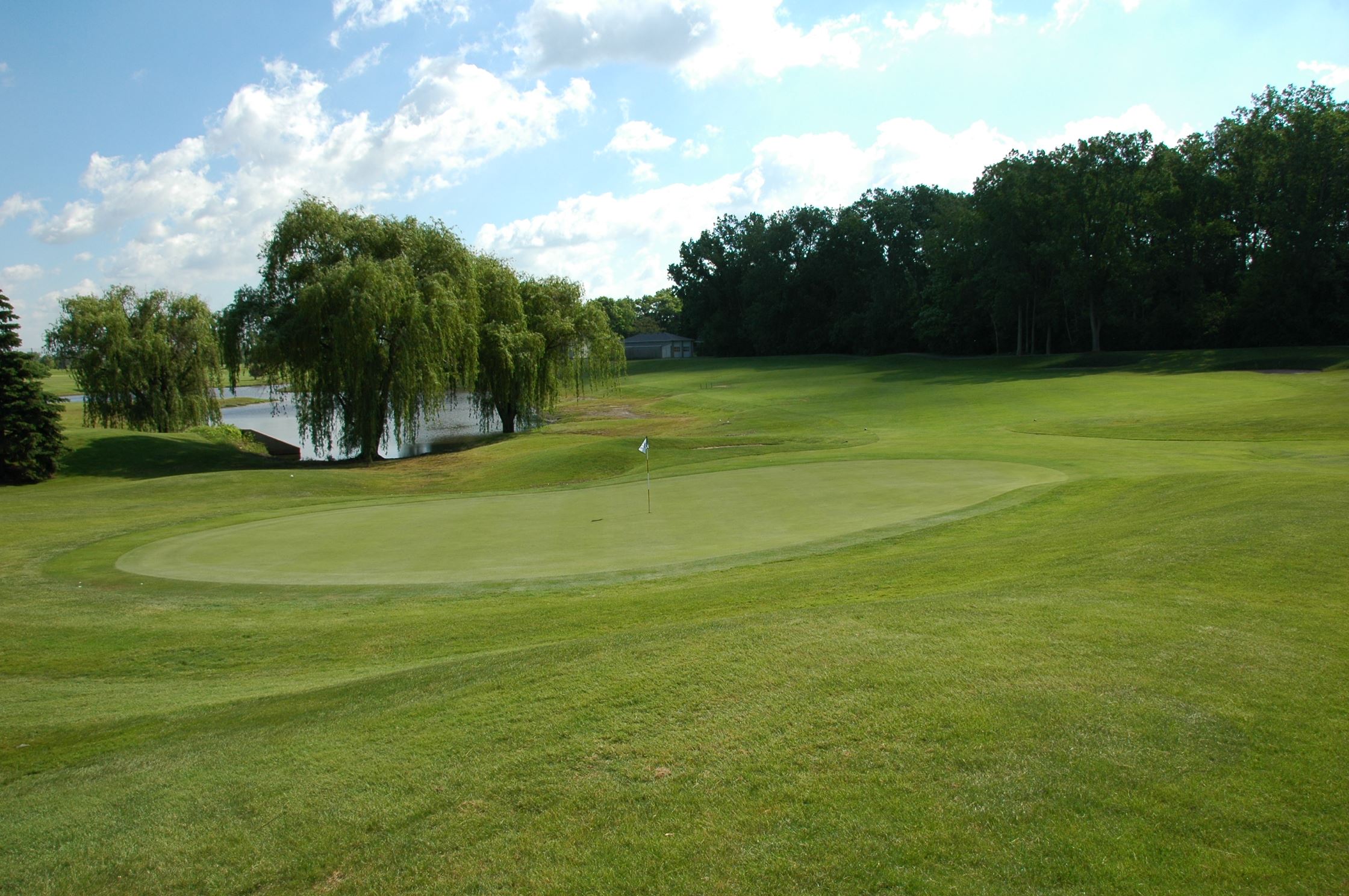 A view of the beautiful scenery of the Taylor Meadows Golf Course.